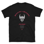 D&D Paladin T-shirt